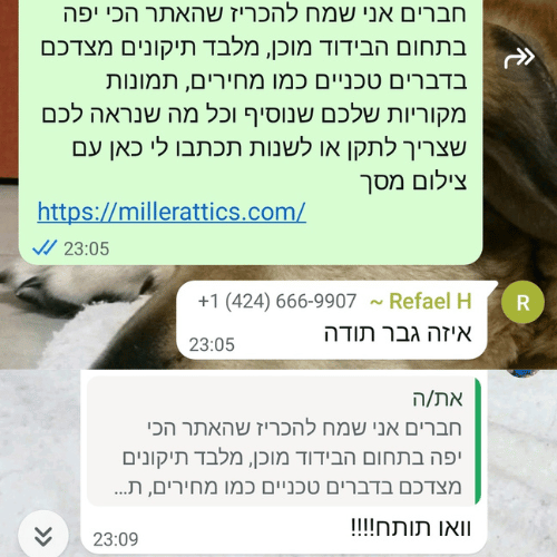 נתנאל דבוסקין