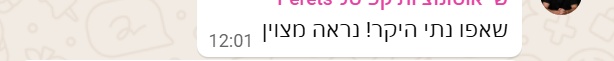 צילום מסך ווטסאפ נתנאל דבוסקין